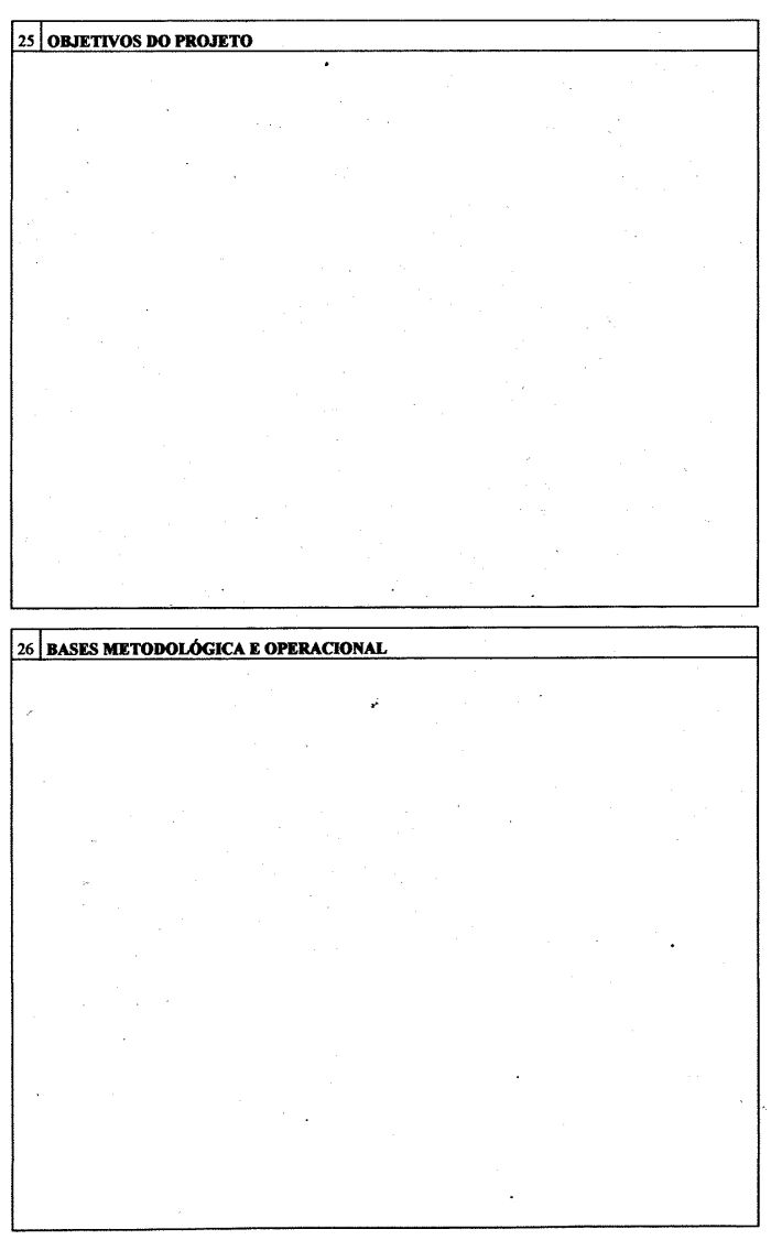 FormDecreto8347-BA-3.jpg (35600 bytes)